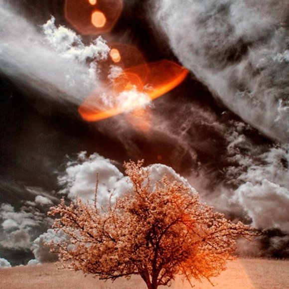 Clarks Artisan Collection Womens Open Toe Flats - Picture 5 of 8